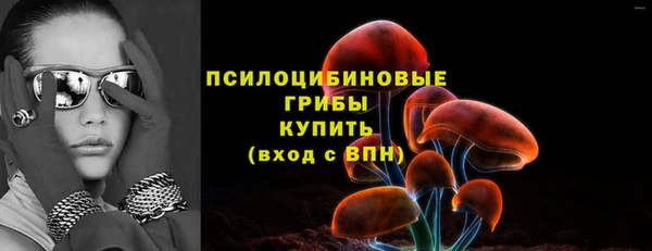 МДПВ Балахна