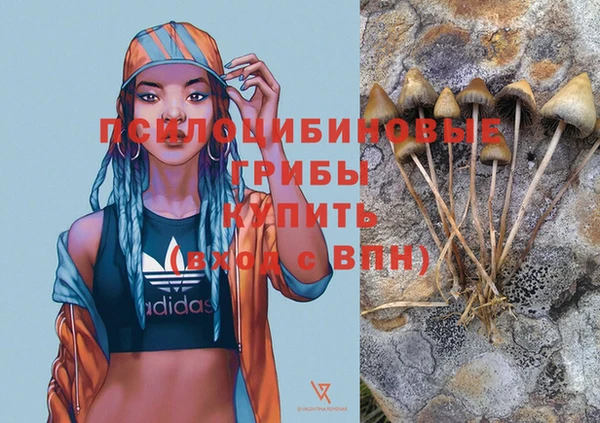 МДПВ Балахна